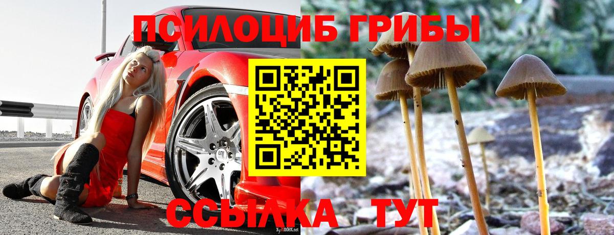 Калининград  Псилоцибиновые грибы Psilocybe  Галлюциногенные грибы прущие грибы  Вход с VPN 