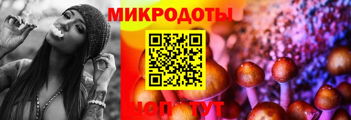 Галлюциногенные грибы GOLDEN TEACHER Калининград
